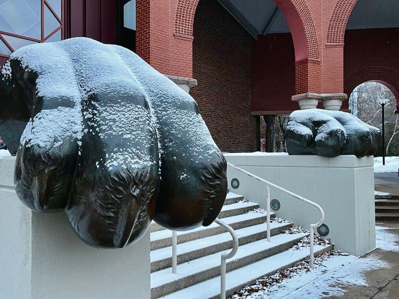 A black statue of a lion's paw covered in snow